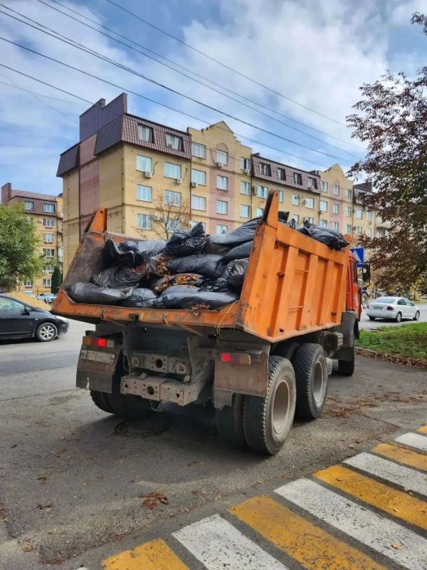 В Ессентуках после общегородского субботника вывезли более 200 кубометров листвы и мусора В Ессентуках после общегородского субботника вывезли более 200 кубометров листвы и мусора