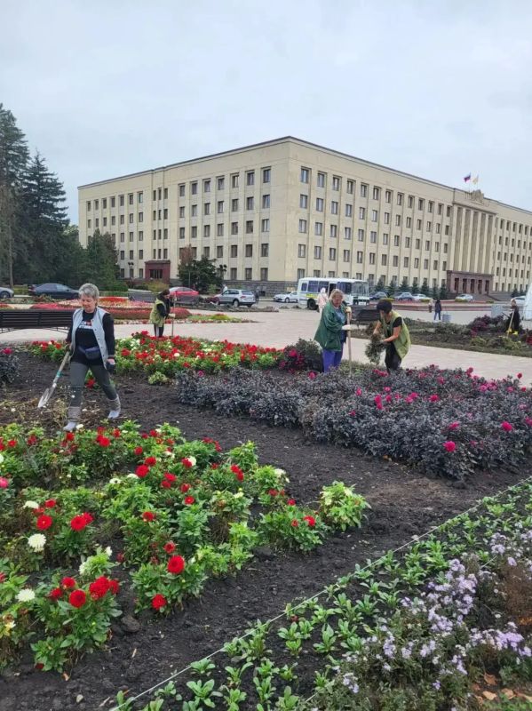 Иван Ульянченко: Ставропольские озеленители приступили к подготовке городских клумб к осенней высадке