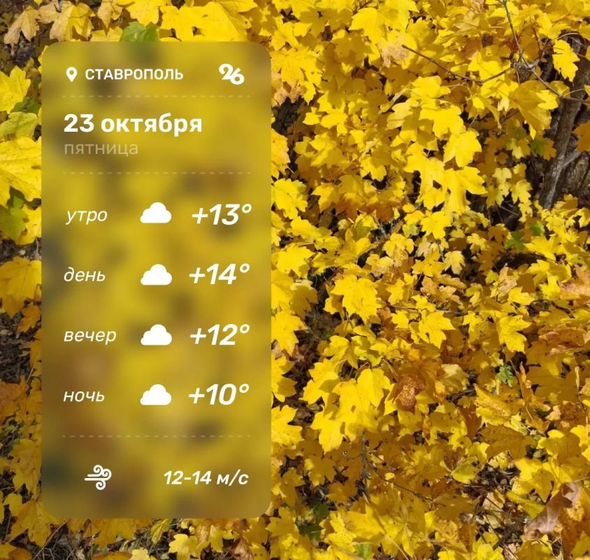 Погода в Ставрополе 23 октября