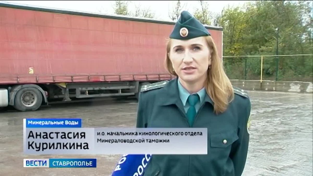 «Вести. Ставропольский край» 24.10.2026 (14.30)