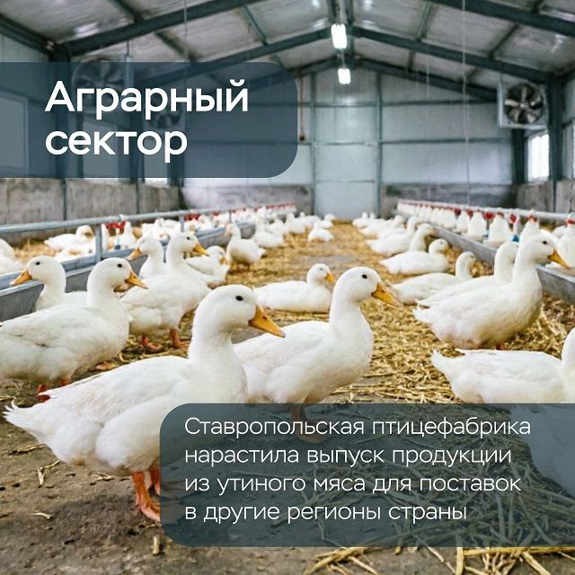 Банк России опубликовал октябрьский доклад «Региональная экономика», где проанализировал экономическую ситуацию в регионах, включая Ставропольский край Банк России опубликовал октябрьский доклад «Региональная экономика», где проанализировал экономическую ситуацию в регионах, включая Ставропольский край