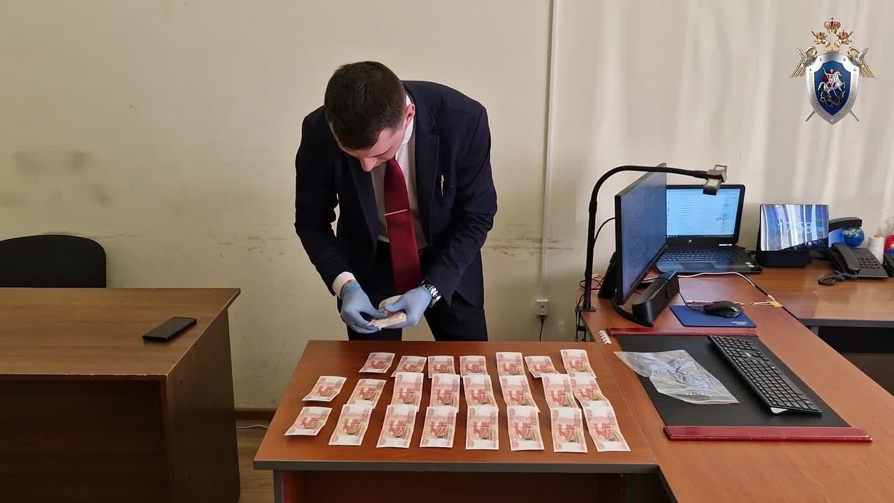 В Шпаковском округе бывшие сотрудники полиции признаны виновными в покушении на мошенничество